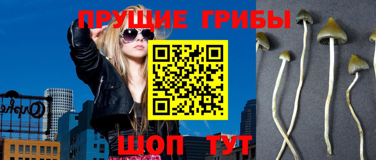 Галлюциногенные грибы GOLDEN TEACHER Минеральные Воды