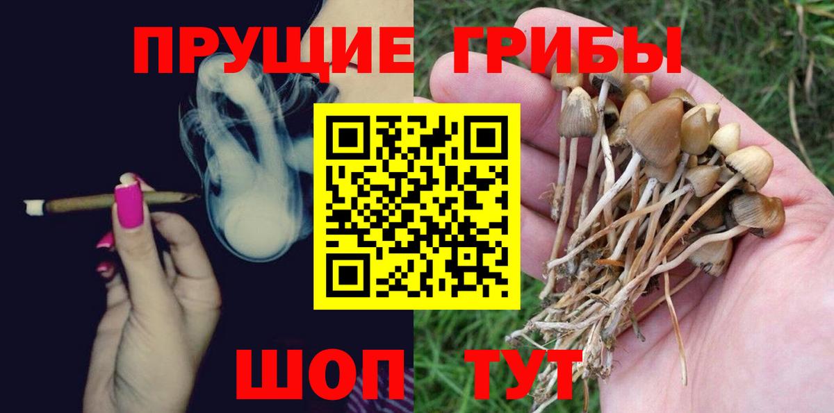 Псилоцибиновые грибы Magic Shrooms  Вход с VPN  Минеральные Воды 